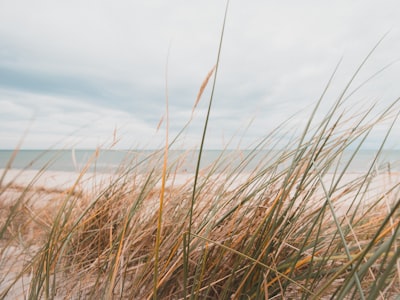 Plaża w Łebie o wschodzie słońca